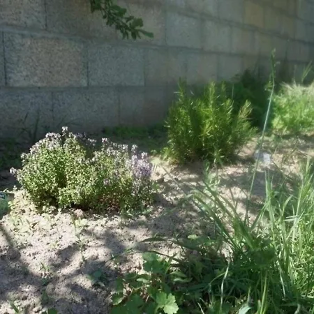 Maison Barbatre, 3 Pieces, 4 Personnes - Fr-1-224b-557 فيلة بارْباتْرْ